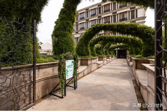 芦荟舒缓修护保湿,贝亲婴儿保湿露芦荟精华怎么用