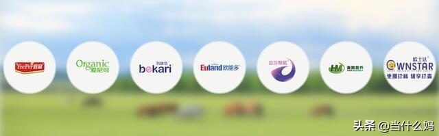 有机致臻有机奶粉怎么样,国产奶粉真的那么好吗