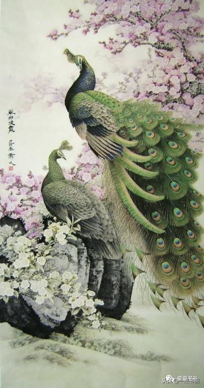 工笔国画孔雀画高清大图,工笔孔雀的画法步骤