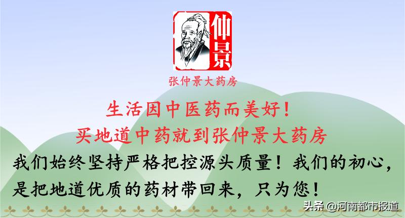 脱发白发适合喝什么茶,脱发白发疲倦精神差只需吃它