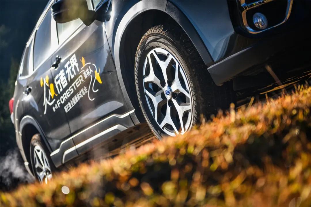 实用性超高的suv斯巴鲁森林人,森林人suv什么性能