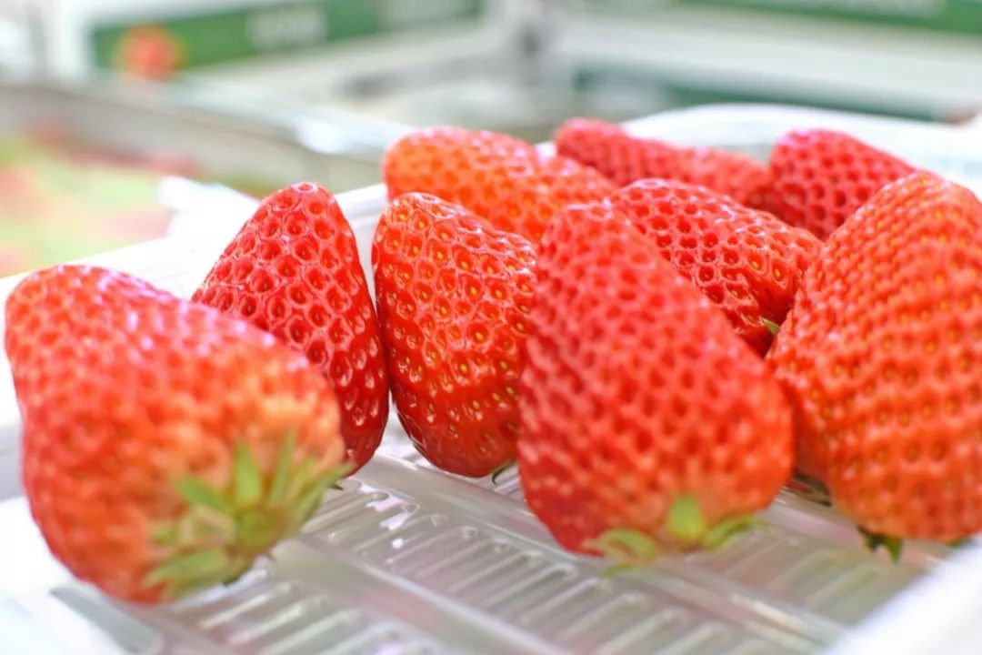 山姆新店活动码,山姆会员店宝藏单品