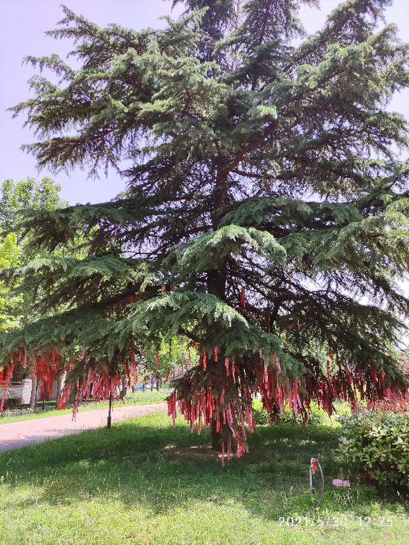 鎵撳崱闀垮畨鍙ゅ煄,鎵撳崱闀垮畨鏁呴噷