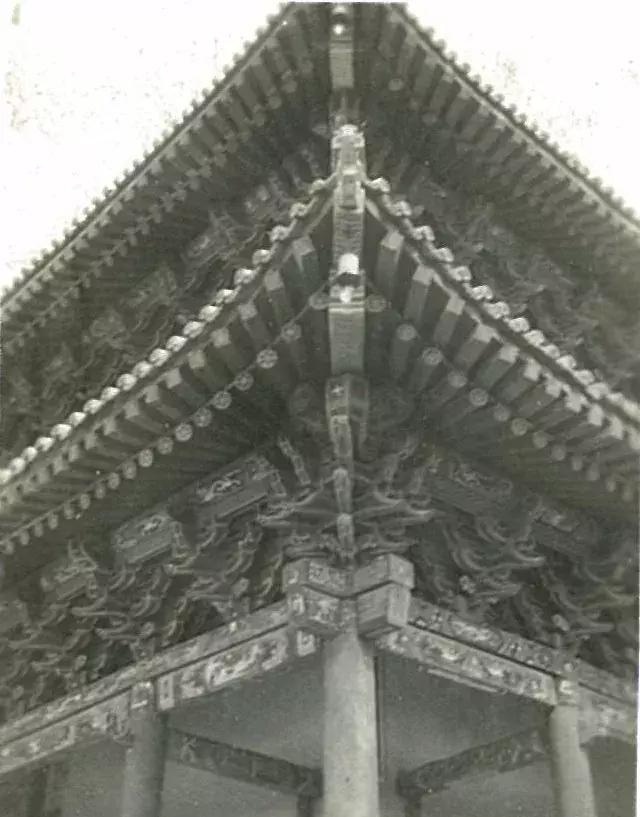 你可能没见过的姓氏,你可能没见过的日语