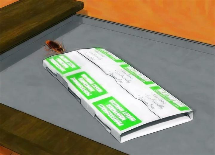 家里蟑螂太多怎么能彻底清除蟑螂,家里蟑螂多如何灭蟑螂