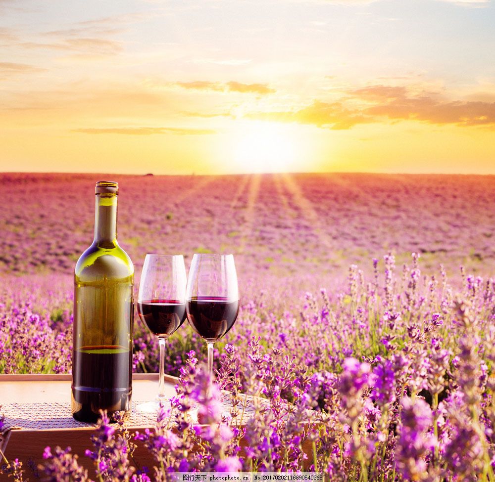 入手第一支香水不要太贵,最好的真实薰衣草精油