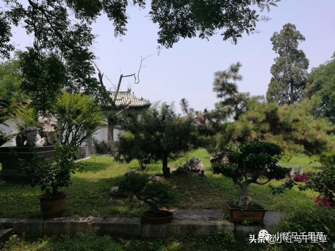 世界文化遗产曲阜孔庙孔林孔府,中国的世界文化遗产曲阜孔庙