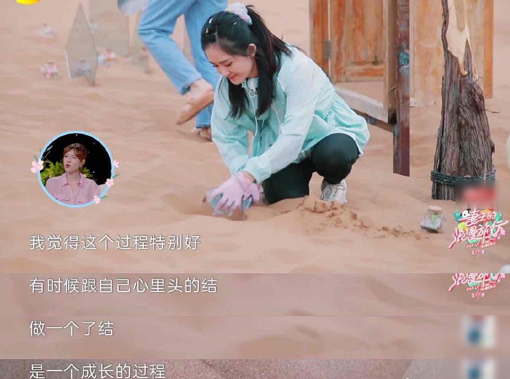 杨澜访谈胡歌,杨澜访谈录赵本山央视主持人