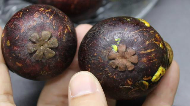 山竹怎么挑又大又甜没有烂的,山竹最甜的地方