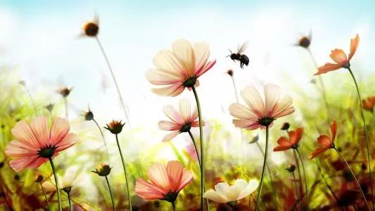 每个家庭都要懂积极心理学,心理学对家庭有什么帮助