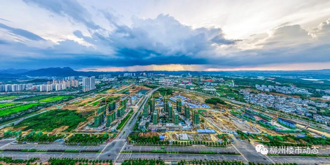 这个夏天柳东“热”得不像话，科教文娱全方位爆红