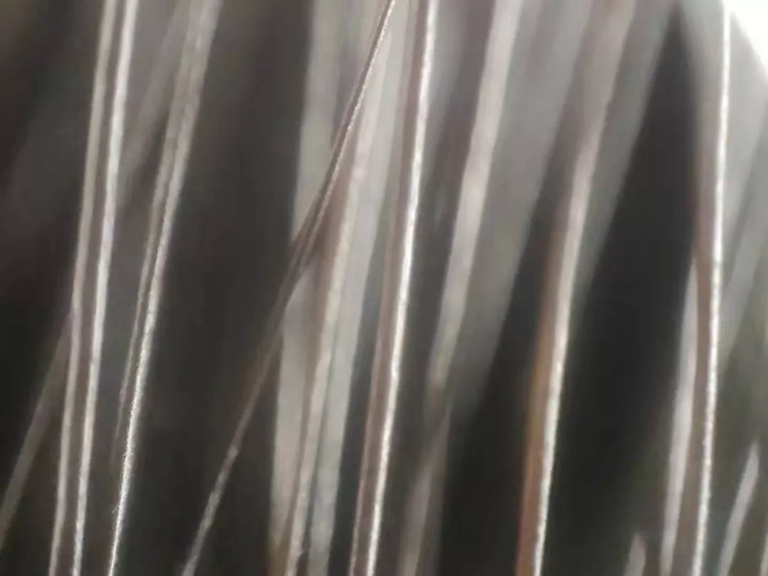 手持式显微镜放大100倍能看清什么,电子数码手机显微镜