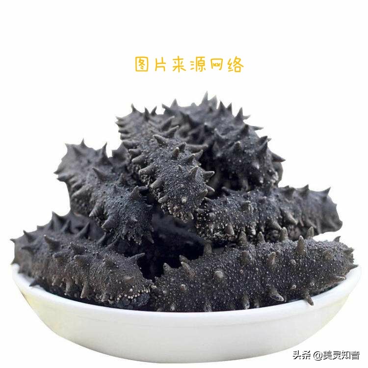 海参是滋阴还是补气的,海参养生常识有哪些