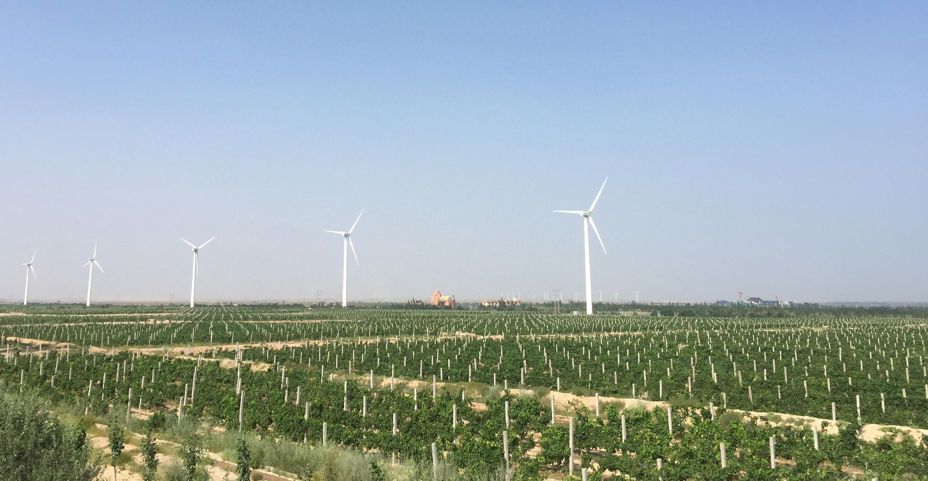 怡园酒庄旗舰店晋中总经销,怡园酒庄在哪里