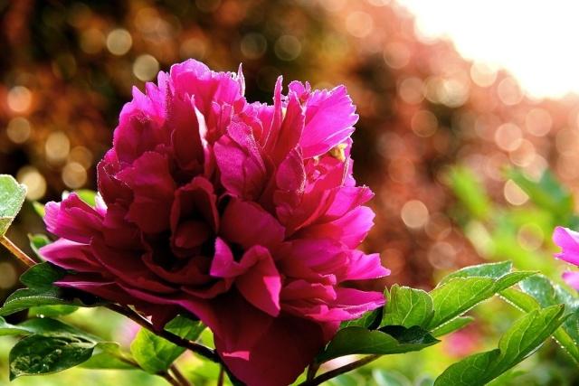 心理测试测你是不是享福命,测试测出你是富人命还是穷苦命