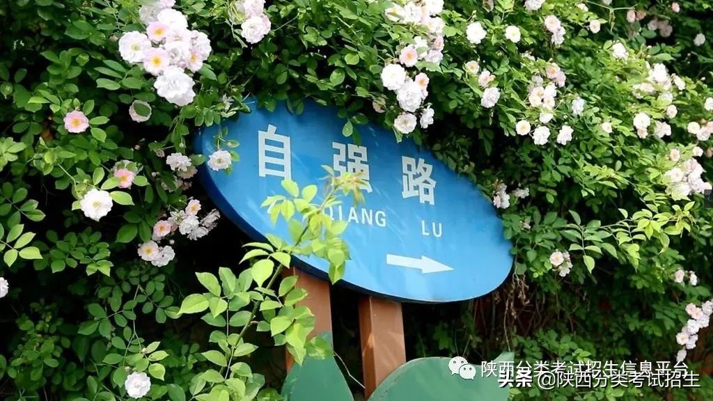 两汉三国,真美汉中|汉中职业技术学院