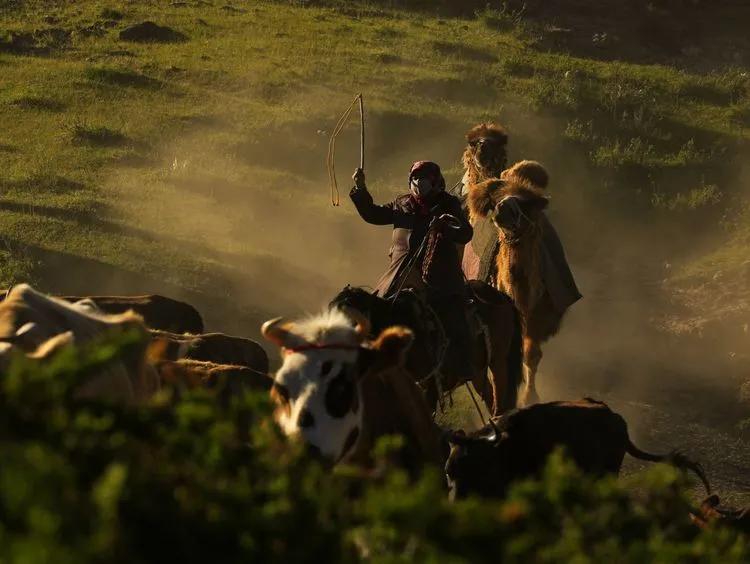 迁徙的家园，马背上的诗