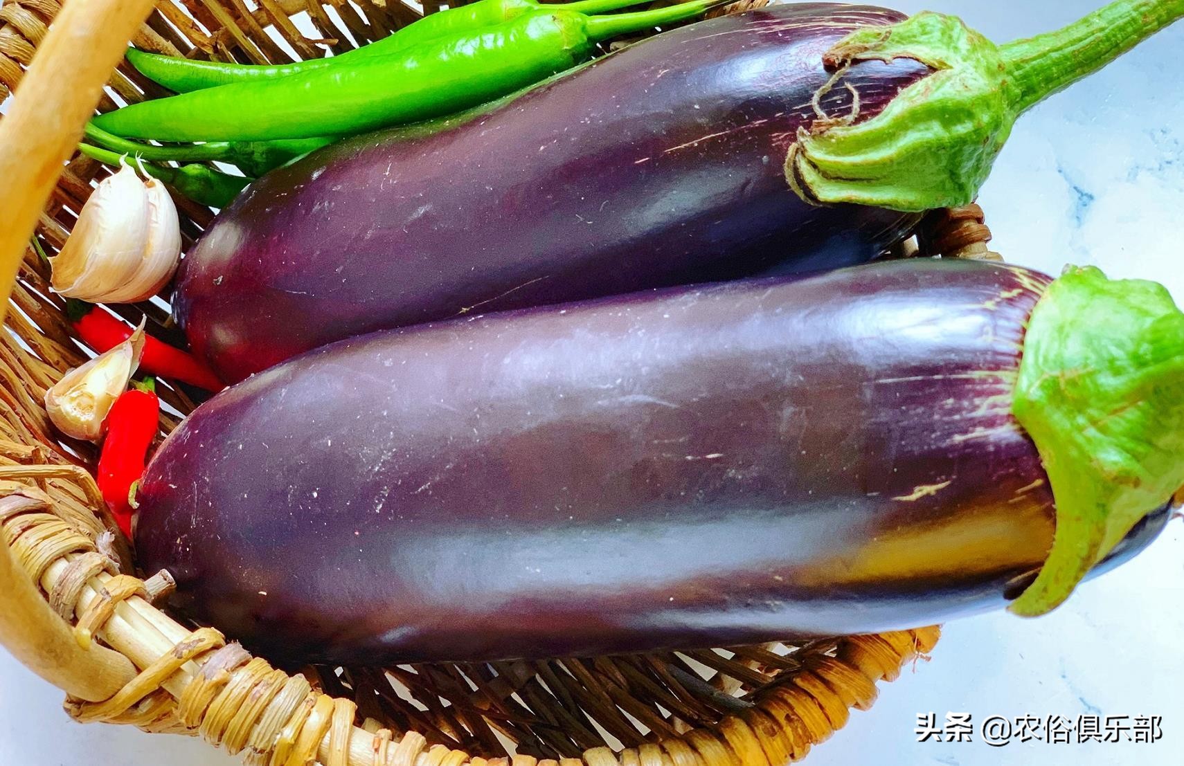 吊死鬼茄子,茄子鬼是真的吗