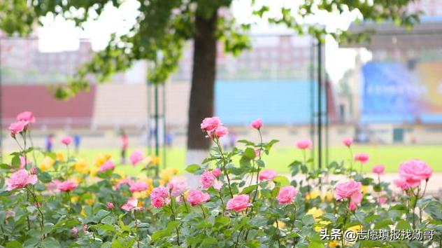 数学专业读研考大数据专业怎样,大数据专业考什么科目