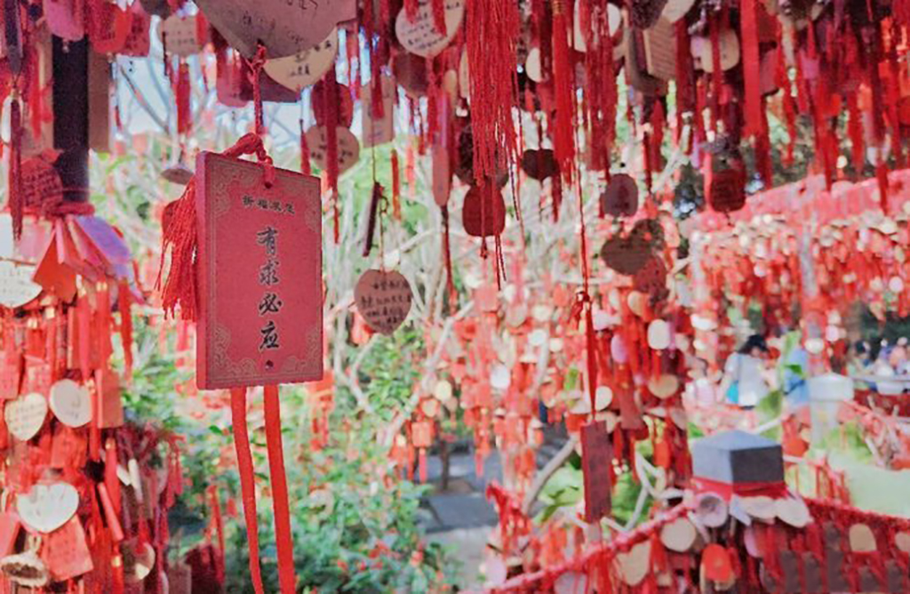 在深圳可不去世界之窗，但不可错过凤凰山森林公园，一览宝安景色