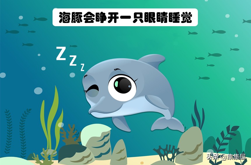 生物学的惊天大秘密,你不可不知的五十个生物学知识