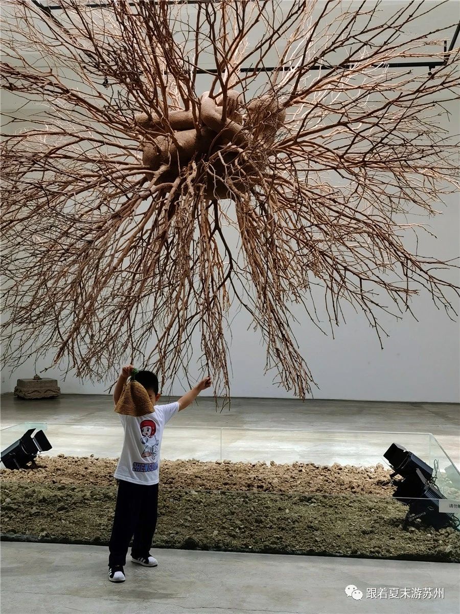 苏州本色美术馆预约,苏州本色美术馆近期展览