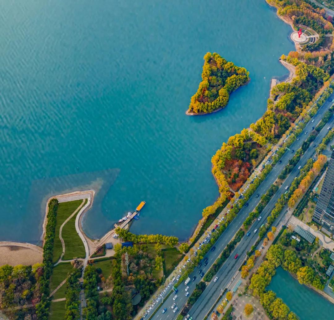 安徽省合肥市天鹅湖,安徽合肥的天鹅湖