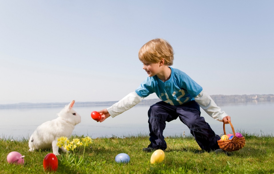 儿童代币制最新政策,代币法管理孩子