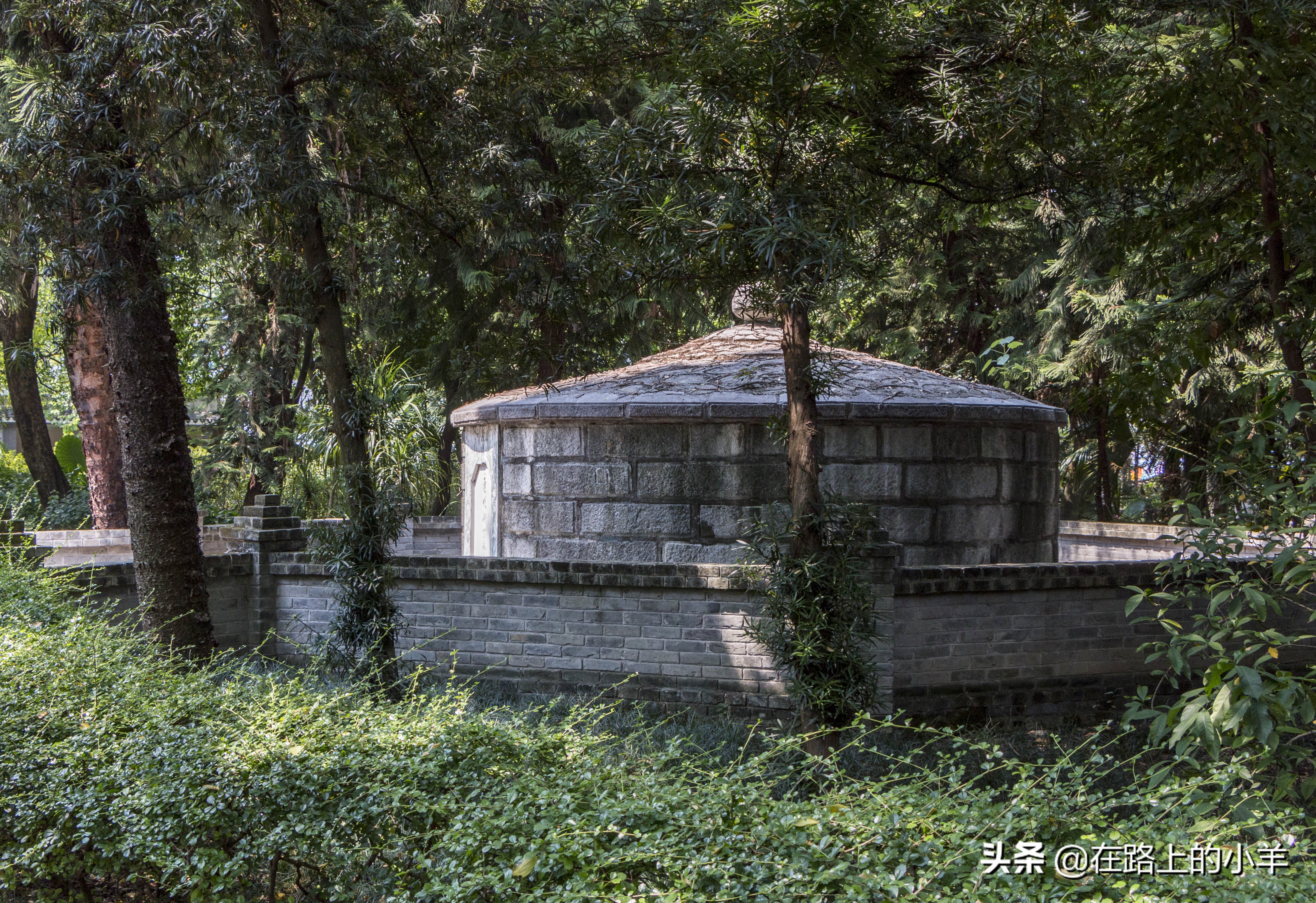 柳州公园游览攻略,柳州国家森林公园攻略