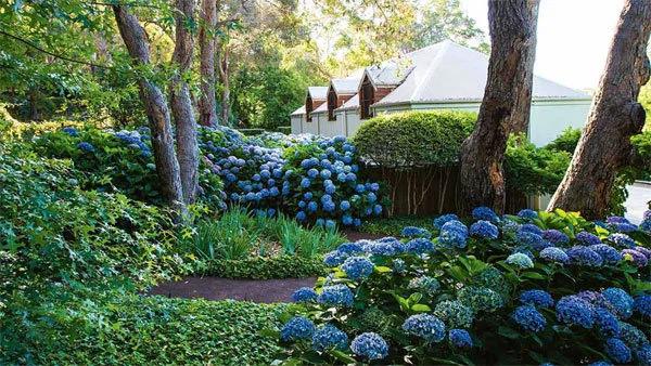 花园设计前沿趋势|14种澳洲庭院花园类型(上篇),全面细致