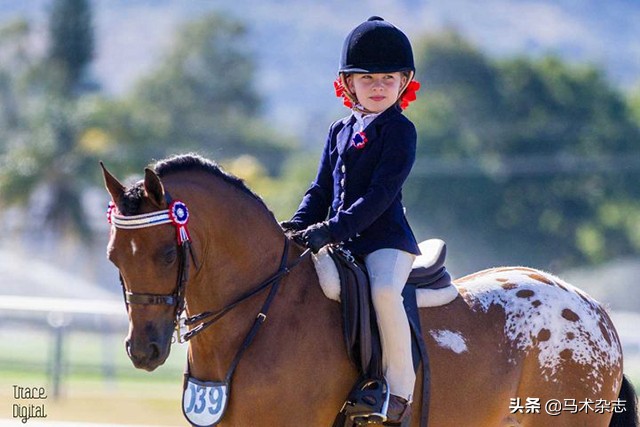 记录孩子第一次学骑马,初学者儿童怎么学习骑马