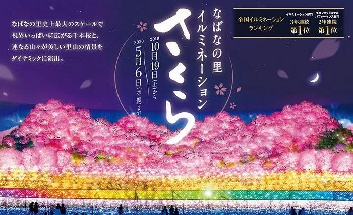 不一样的旅行完整版视频,不一样的旅行全集视频