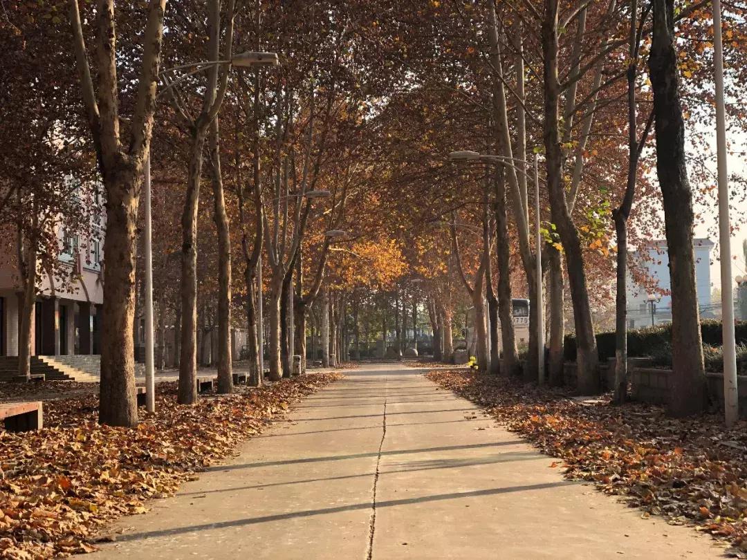 历城二中六十周年,二十年前的历城二中