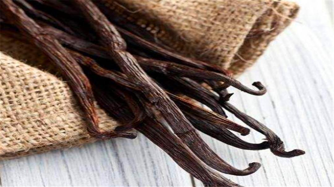 香草的味道原本是臭的？还是世界上最贵的香料，太出乎意外了
