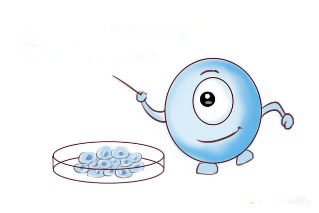 小孩的乳牙怎么保存才有效,孩子的第一颗乳牙怎么保存