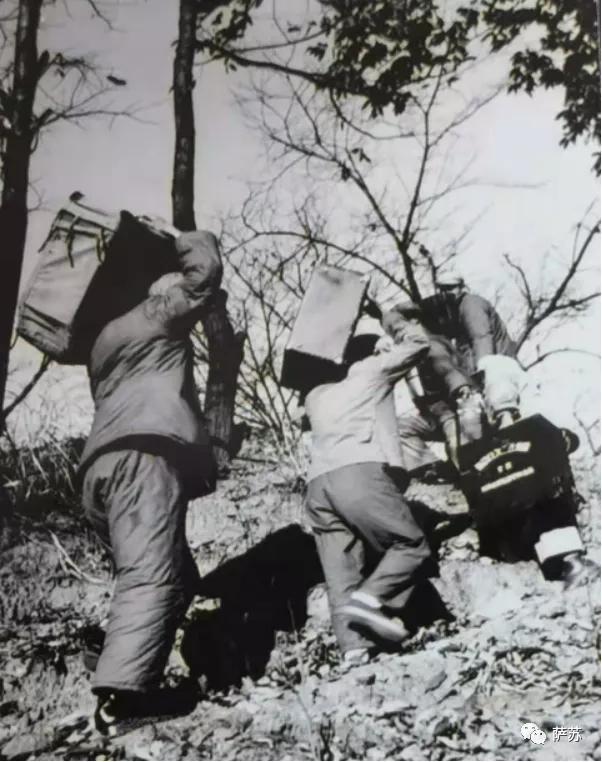 从《夏伯阳》到《一年级女生》:志愿军在三八线上看过哪些电影?