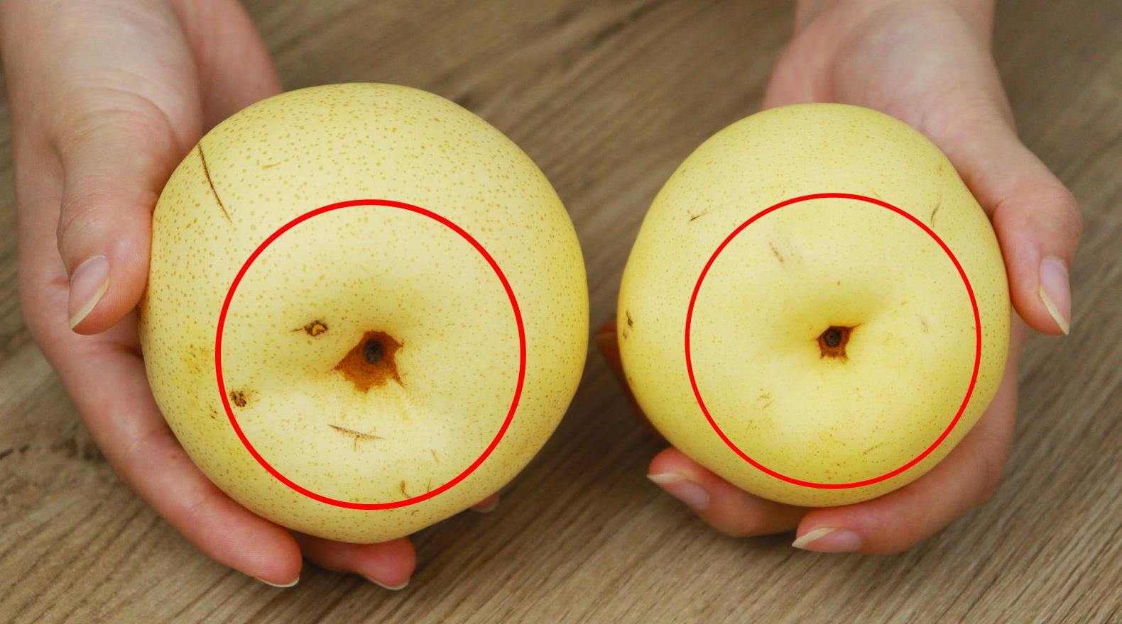 买梨要买哪种梨好,买梨选哪一种好