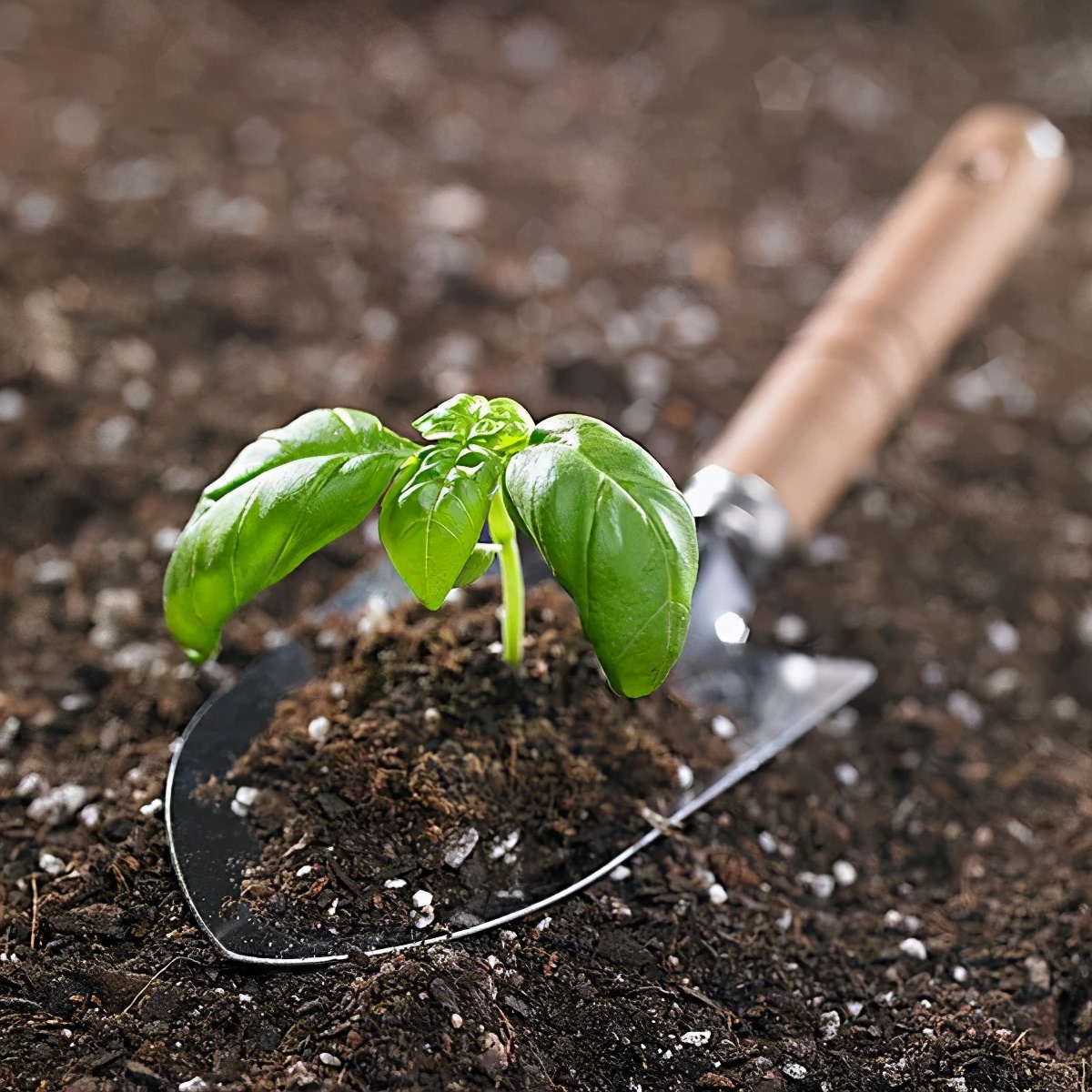施肥手法,施肥技术和方法
