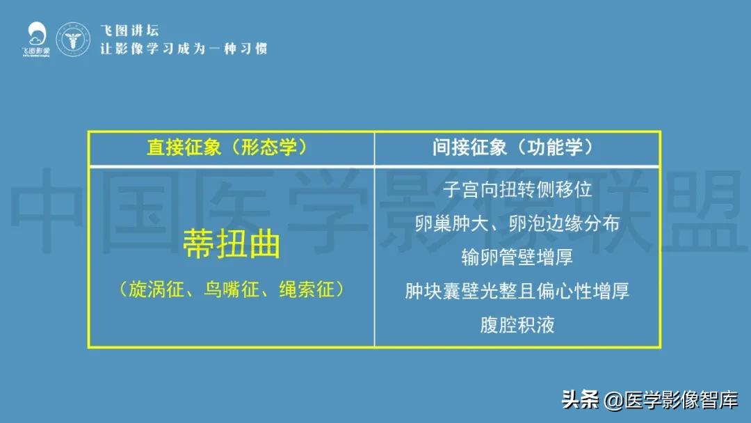 子宫解剖结构输卵管和卵巢位置,子宫附件ct影像学正常解剖表现