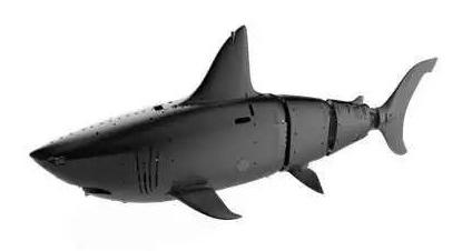 探馆博览会,展会现场探展会