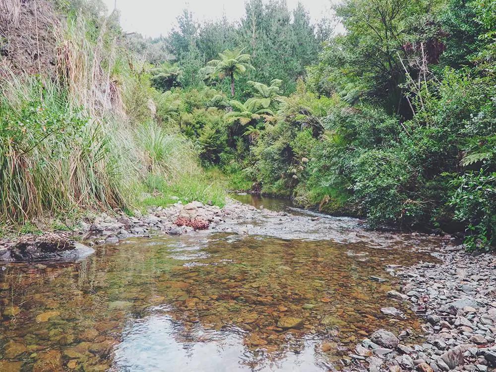 女生一定要尝试一次户外徒步,徒步旅行应该怎么走