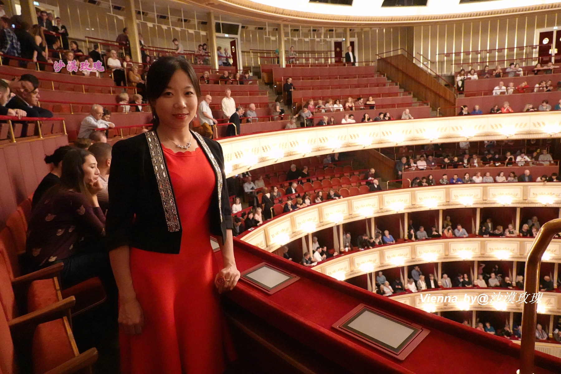 只要3欧元,就能在维也纳听一场世界级的音乐