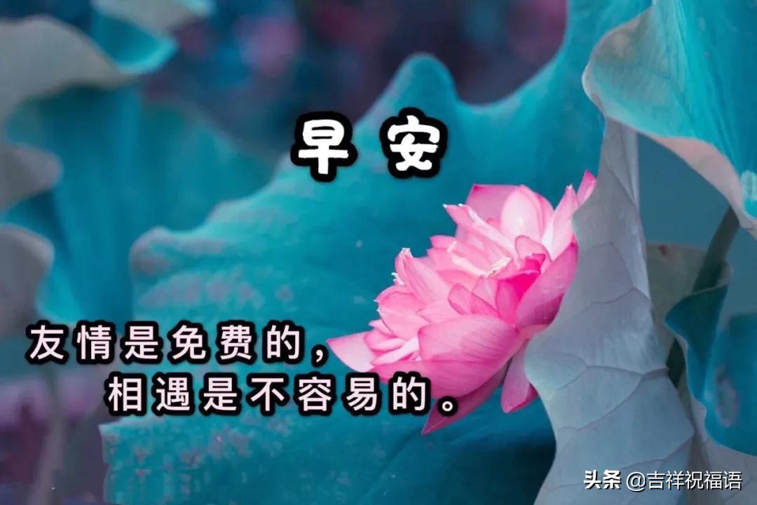 鼠年祝福动态语图片大全,鼠年早安趣味动态祝福问候图片