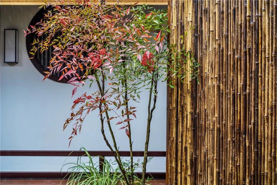 周庄古镇东浜客栈民宿,周庄古镇别苑精品客栈