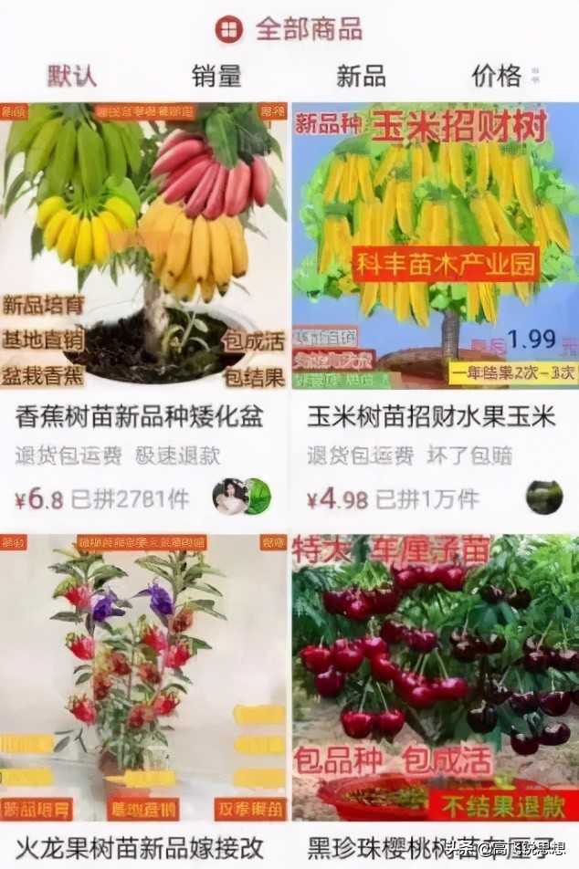 网上卖的假果树苗,假果树苗骗局揭秘