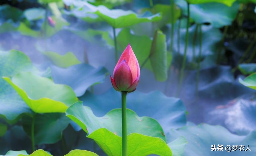 我们终此一生就要摆脱他人的期待,我们终其一生就是要摆脱别人期待