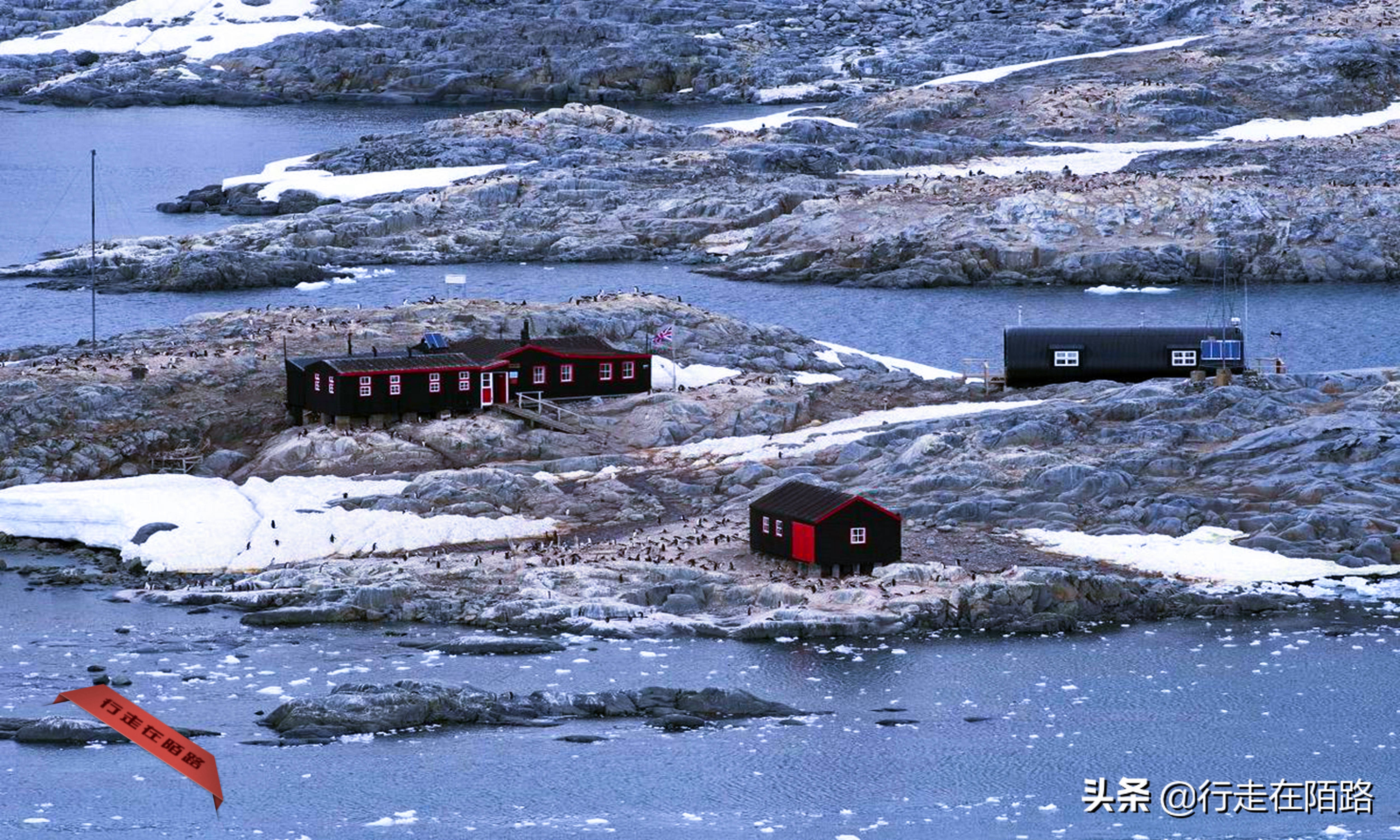 铲屎官的工资,铲屎官工资一天多少钱