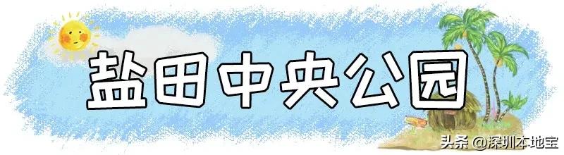 深圳完全免费的十大景点,深圳10大免费景点上集
