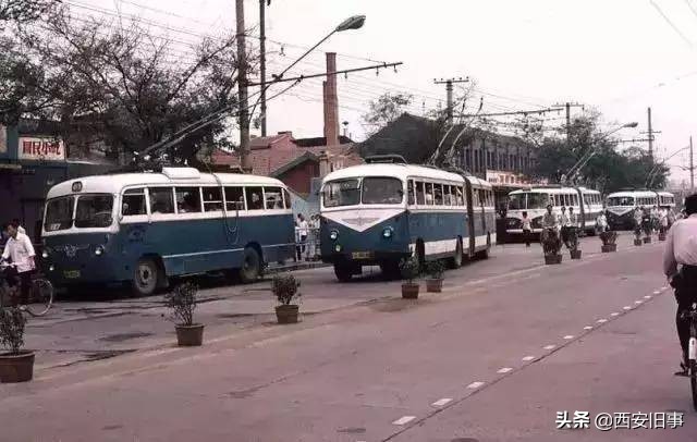 西安故事冷林:金花落与苗圃路