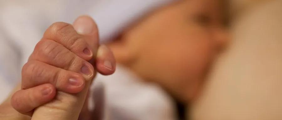 产后缺乳不必苦恼,中医妙招“奶水”自来